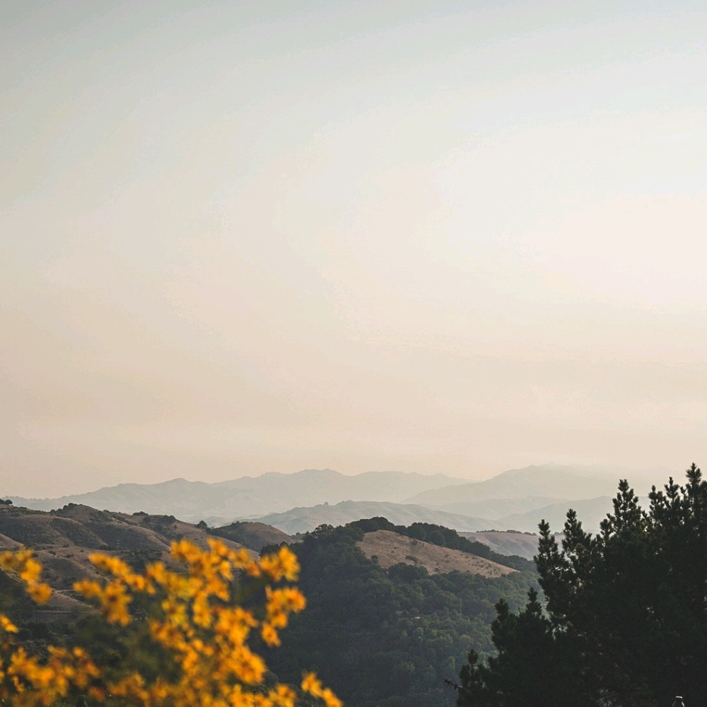 Meet your Posher, Danny